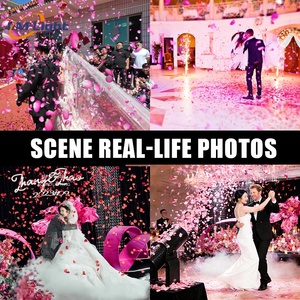 Máquina de Confete LM Factory 1500W Lançadora de Confete para Festas, Atividades de Festival e Casamentos - Product Image 5