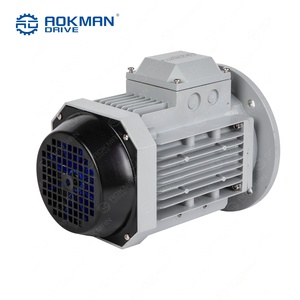 Motor de Inducción Trifásico Industrial IE3 de Alta Eficiencia, 220V 380V 50Hz CA, IP55 para Bomba de Agua - Product Image 6
