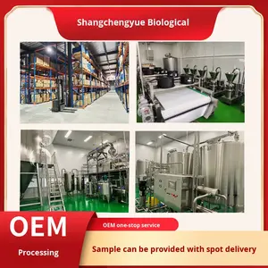 Biotina 98% Vitamina B7 Coenzima Cultivo Silvestre Aceite Liposoma CAS 58-85-5 Vitamina B7 Disponible al por Mayor - Product Image 2