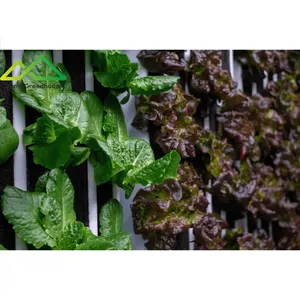 Sistema de hidroponia vertical agrícola para cultivo comercial de vegetais com estrutura de metal durável