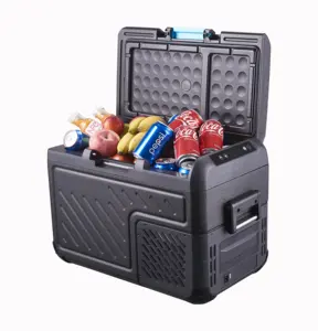 Family Travel Cost-effective Cool And Warm Mini Cooler Box Car Refrigerator 18L DC 12v Portable Car Fridge For Drinks