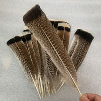 Vente en gros de plumes d'aigle de dinde brutes naturelles de 25 à 30 cm pour le bricolage, la décoration de mariage en stock