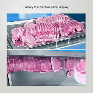 <span class=keywords><strong>Machine</strong></span> Commerciale Automatique en Acier Inoxydable pour Trancher et <span class=keywords><strong>Couper</strong></span> Viande et Poisson Congelés ou Cuits, <span class=keywords><strong>Machine</strong></span> à Hacher Automatique pour Bœuf, Porc et Côtes - Product Image 5