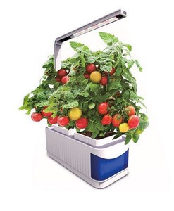 Maceta inteligente hidropónica para jardín, interior, <span class=keywords><strong>con</strong></span> <span class=keywords><strong>luz</strong></span> LED para cultivo - Product Image 1