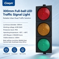 Feux de signalisation routière 8, 12, 16 pouces (100mm, 200mm, 300mm, 400mm) pour le Vietnam, l'Arabie Saoudite et les Émirats Arabes Unis, AC85~264V/47-63Hz