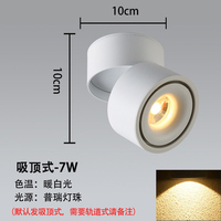 Spot LED de plafond rotatif à 360 degrés, design moderne, montage en surface intérieur, corps en aluminium, indice de protection IP33, dimmable, 24