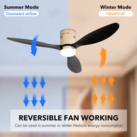 CB certifié CE 52 pouces réversible ventilateur de plafond lumière moteur à courant continu télécommande ventilateur de plafond Led avec lampe