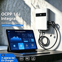 Borne de recharge DC pour véhicules électriques 7-40 kW pour opérateurs de parkings, fournisseurs de services de stationnement, usage public et commercial, fournisseur OCPP, vente en gros
