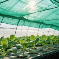 Filet d'ombrage en PEHD 30% 50% Anti-givre Résistant aux UV Isolation Hivernale pour Semis Couverture de Cultures pour Pépinières, Serres et Fermes