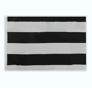 Bandera de Orgullo Sexual Heterosexual Recta de 2 x 3 Pies - Product Image 1