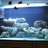 Grande Pierre Paysagère Corallienne Sanhu pour Modélisation de Aquariums Cichlidés