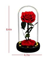 Cadeaux pour la Saint-Valentin, roses éternelles sous cloche en verre avec lumière LED, fleurs éternelles qui ne s'acharnent jamais, pour fêtes, mariages, Nouvel An, Noël