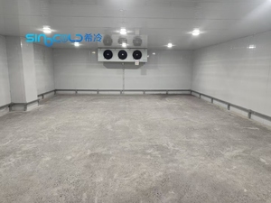 Cámara Frigorífica de Gran Escala para Logística de Refrigeración y Congelación, Cuarto Frío para Almacenamiento de Frutas, Verduras, Carne y Mariscos - Product Image 3