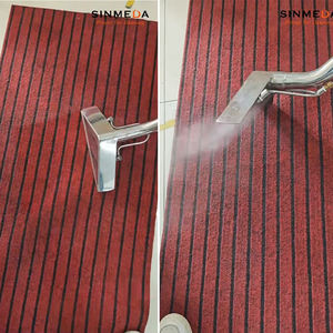 Macchina di Lavaggio per Divani e Tappeti a Vapore 160 PSI Pulitore a Vapore Industriale Estrattore Professionale a Vapore per Divani e Tappeti - Product Image 6