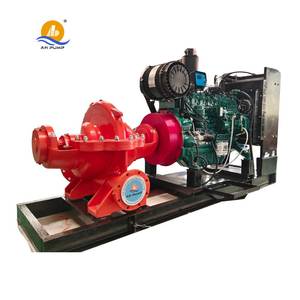 Pompa Centrifuga Orizzontale Monostadio a Doppia Aspirazione, a Risparmio Energetico e Resistente all'Usura, per Irrigazione - Product Image 2