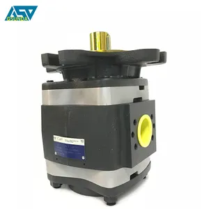 Hydraulic Gear Pump IPV/AP/C5/6/7-40/64/80/100/125-101/111 Transfer Pump For Machining IPVPS-4/5/6-64/80-101/171 Servo oil pump