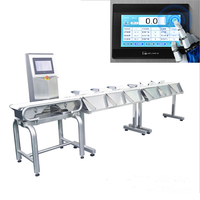 Pangasius Verse Vis Zeevruchten Kip Garnalen Bevroren Voedsel Groenten Fruit Meertraps Weegmachine Check Weger