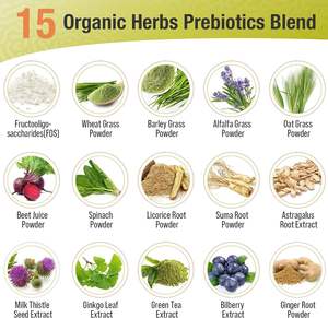 Oem/Odm Vrouwen Probiotische 50 Miljard Cfu + Prebioticum Met Cranberry Capsules, Gezonde Spijsvertering, Immuun - Product Image 5