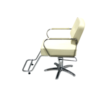 [ECCLIM]DANIEL (2) EC-003 Chaise de Salon de Coiffure en Acier Inoxydable Design Moderne Légère Sans Pression Usage Commercial et Domestique