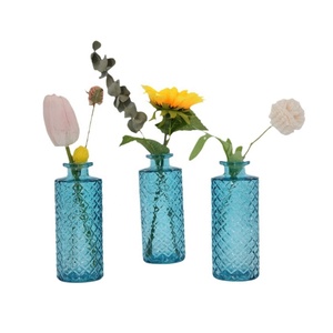 Jarrón de cristal transparente azul estilo Ins, alivio francés, decoración para el hogar, sala de estar, arreglo floral, jarrón hidropónico de escritorio - Product Image 5