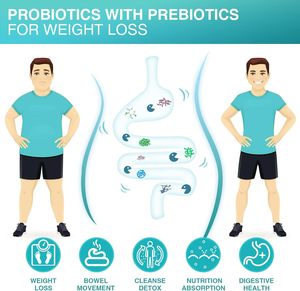 Probióticos para Hombres Certificados por GMP, Suplemento para la Salud Digestiva e Inmunológica Masculina, Tabletas de Probióticos para Hombres - Product Image 5