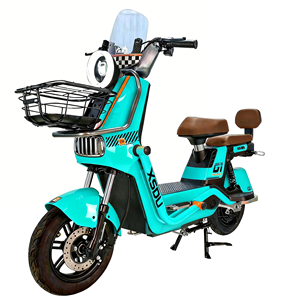 Bicicleta Eléctrica de Largo Alcance con Pantalla LCD y Batería de Plomo-Ácido, Neumáticos de 12 Pulgadas, Fábrica China, Modelo NS-650, Neumáticos de 14 Pulgadas - Product Image 1