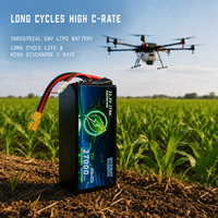Paket Baterai Lithium Semi-Solid 27mAh 22.2V 5C, Tahan Suhu Rendah untuk Drone Penyelamatan Kebakaran & Pemetaan