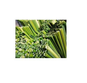 หลอดดูดหญ้าเวียดนาม-ทางเลือกที่ดีที่สุดและราคาที่ดีที่สุดหลอดหญ้า - Product Image 1