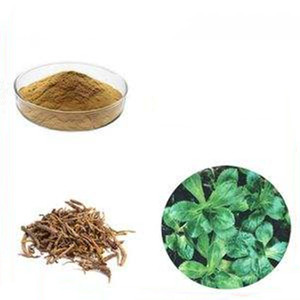 Экстракт корневого корневища Хуан Лянь, экстракт китайских трав - Product Image 1