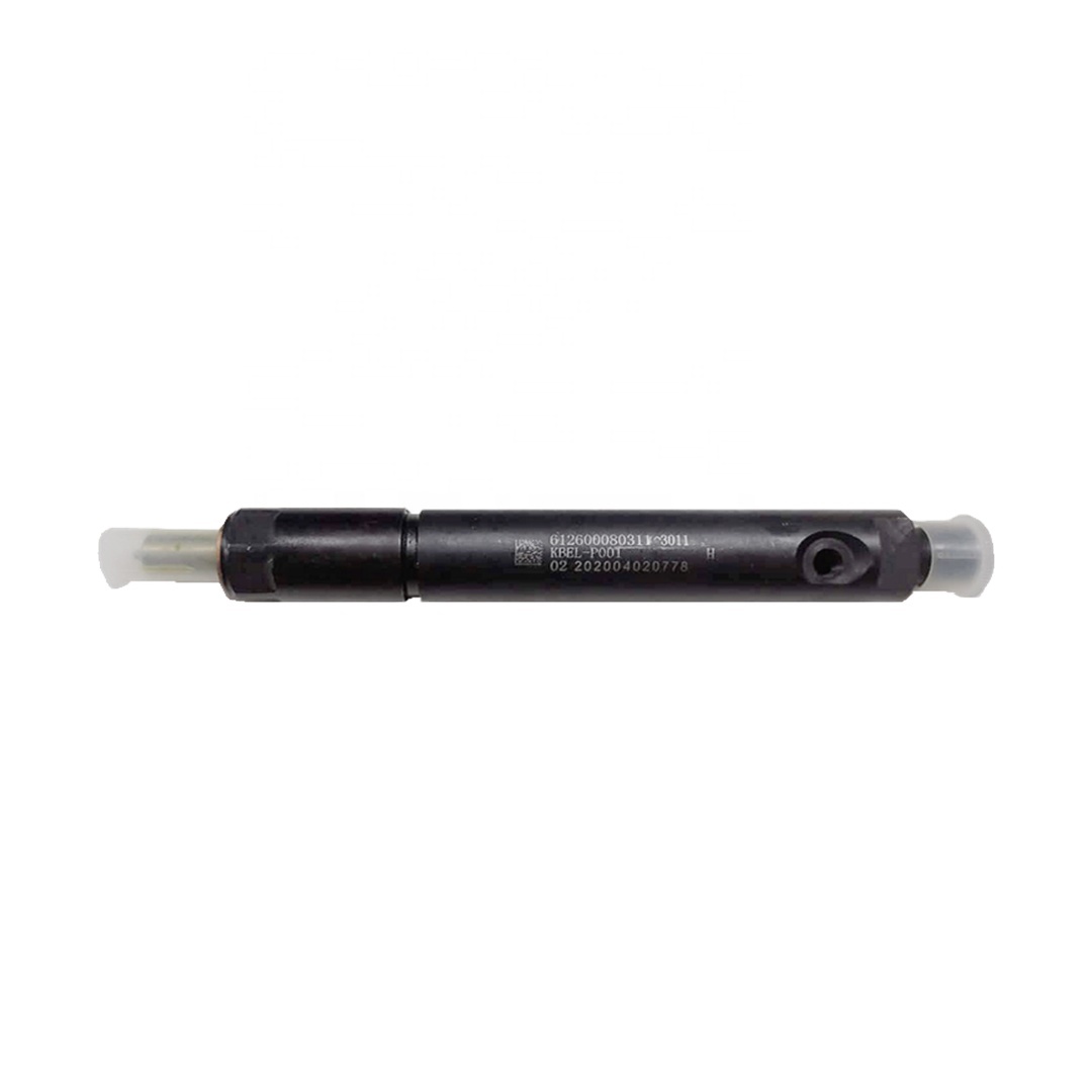 High-Quality Original Fuel Injector 612600080311 Common Rail Injector Injector Nozzle