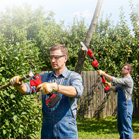 Elektrische snoeischaar & mini-kettingzaagset 21V borstelloze draadloze oplaadbare takkenknipper landbouwonderhoud gereedschapset