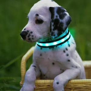 Collar de perro LED intermitente de colores, USB, nuevo diseño