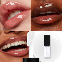 Aurora Make-Up Veganistische Wreedheid-Vrij Fruit Gearomatiseerde Lipgloss Minerale Vloeibare Olie Hydraterende Msds Lip Plumper Custom Logo