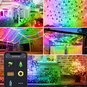 Decorazione per Festival di festa Diwali luce per esterni cambia colore APP telecomando LED RGB String Light Smart Globe Fairy Lights