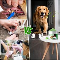 Poudre nettoyante pour dents de chiens et chats OEM/ODM la plus vendue avec des algues marines, réduit la plaque dentaire et la mauvaise haleine, soutient le système immunitaire