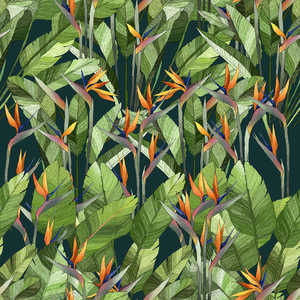 Sofia Franciosini Amazzonia Set di 2 Portautensili e Clip per Pentole Disegnati a Mano, Ecologici - Product Image 1