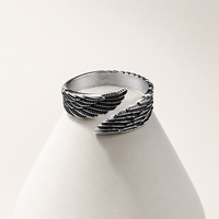 Bague Aile d'Ange en Acier Inoxydable pour Homme, Réglable, Motif Plumes, Style Biker Gothique Vintage, Anti-ternissement, Personnalisable OEM