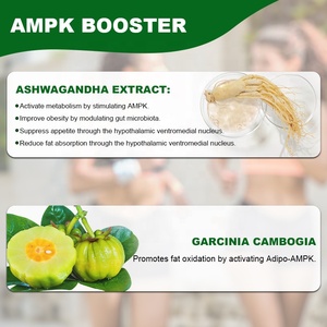 Capsule Dimagranti ad Alta Potenza a Base di Erbe per Bruciare i Grassi e Perdere Peso <span class=keywords><strong>in</strong></span> Modo Sano - Product Image 5