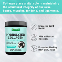 Poudre de Collagène Hydrolysé en Promotion avec Protéines de Sodium pour la Santé des Cheveux, de la Peau, des Ongles et des Articulations, Favorise l'Élasticité