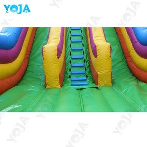 Tùy chỉnh 25ft vui hề đôi trượt <span class=keywords><strong>Inflatable</strong></span> sân chơi lâu đài trẻ em 'vui vẻ đồ chơi - Product Image 5