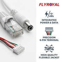 Câble réseau RJ45 DC personnalisé professionnel avec alimentation intégrée, faisceau de câbles pour caméra IP, assemblage de câbles pour système de vidéosurveillance