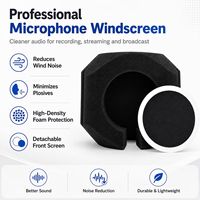 Écran anti-vent acoustique PE1 pour microphone, 5 faces, réduction du bruit, protection contre le vent pour enregistrement en studio, podcast, diffusion