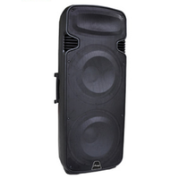 Enceinte portable sur roulettes puissante et polyvalente de 15 x 2 pouces