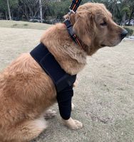 Orthopédique Récupération Protecteur Manchon Chien Chirurgical Blessure Protecteur Guérir Compression Brace Pet Bandage Doux Pet Genouillère