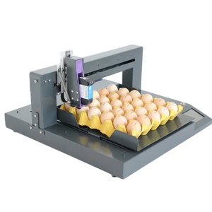 DP1-150-600 Tự Động Trứng Máy Bay Phản Lực Máy In Cao 600Dpi Nhanh Khô Máy In Phun Cho Ngày Hàng Loạt Số Đồ Họa Logo Chim Bồ Câu Trứng - Product Image 4