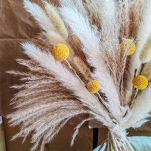 Natural Dried Flower Bouquet with Pampas Grass Bunny Tails Eucalyptus and Craspedia <strong>Billy</strong> Balls for Boho Home Wedding Decoration - Product Image 2