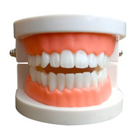 Cepillos Interdentales al por Mayor, Cerdas Suaves de 0.2, 0.4, 0.6 y 0.8 mm, Cepillos Dentales de Ortodoncia para Limpieza Bucal