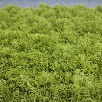 Panneaux modulaires en fausse mousse luxuriante, stabilisés aux UV, pré-assemblés, gazon artificiel en mousse pour murs verticaux intérieurs et extérieurs instantanés