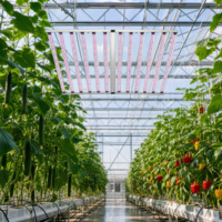 Kruiden, bladgroenten, fruit, bloemen, IP65 gecertificeerde 1300W opvouwbare driekanaals full spectrum kweeklamp voor commerciële kwekers