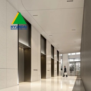 Ascensor Hyundai de 2 Pisos para Viviendas, Mini Elevador Residencial Interior Pequeño con Cabina, 200kg 350kg - Product Image 3